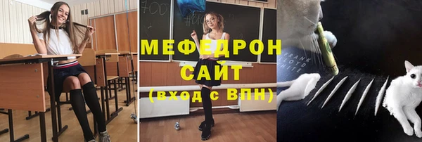 mdpv Бородино