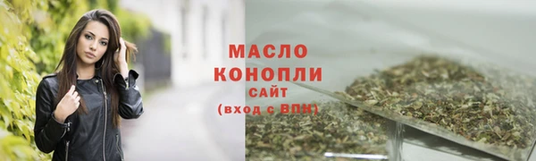 mdpv Бородино