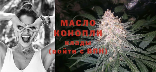 mdpv Бородино