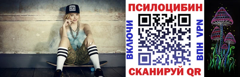 Псилоцибиновые грибы Psilocybe Дегтярск